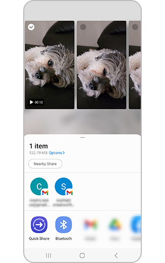 View of available sharing options.