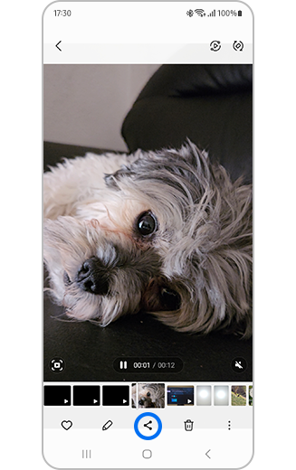 Prikaz odabranog videozapisa i istaknute ikone za dijeljenje.
