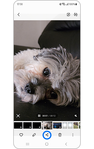 Vue de la vidéo sélectionnée et de l’icône de partage en évidence.
