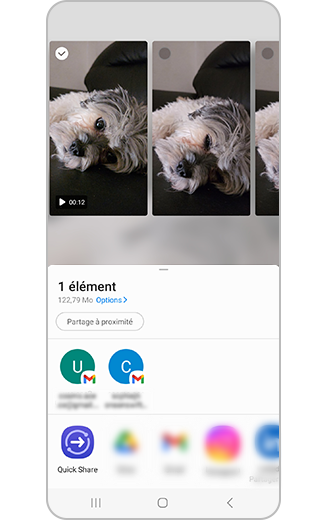 Vue des options de partage disponibles.