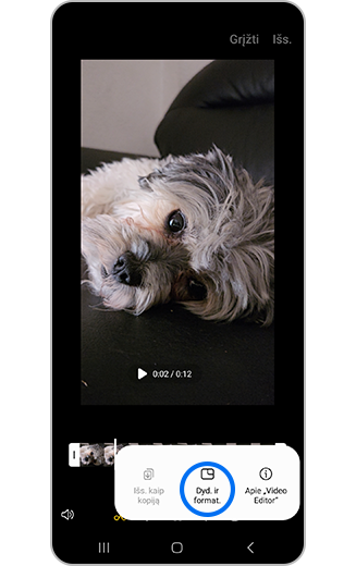 Vaizdo įrašo papildomų parinkčių atvaizdas su pažymėtu Dydžiu ir formatu.