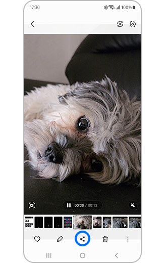 Pasirinkto vaizdo įrašo atvaizdas su pažymėta bendrinimo piktograma.
