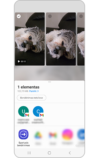 Galimų bendrinimo parinkčių atvaizdas.