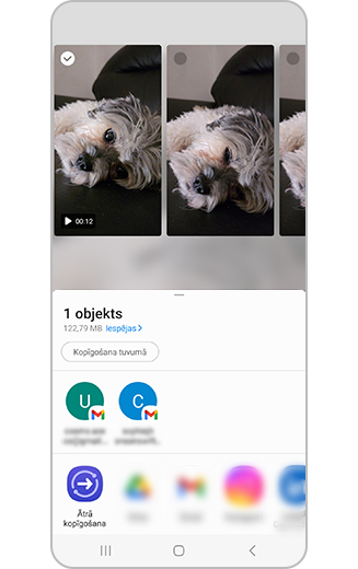 Skats uz pieejamajām koplietošanas iespējām.