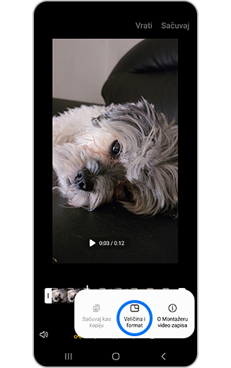 Prikaz opcije Veličina i format u meniju Više opcija za video-zapis
