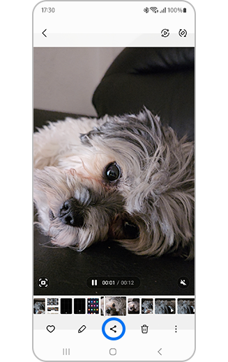Prikaz izabranog video-zapisa i istaknute ikone Deli