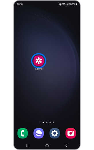 Vista do ícone da Galeria na página inicial.