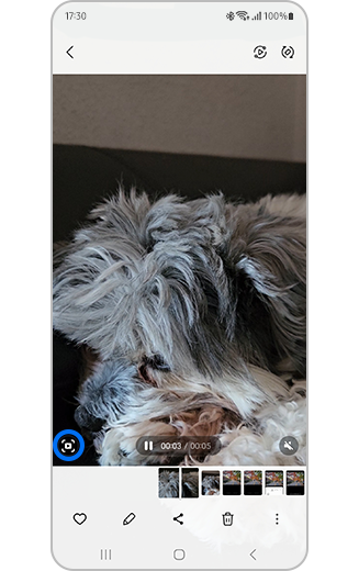 Vista del video con el icono de captura de fotogramas resaltado.