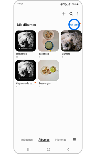 Vista de álbumes con Ver todo resaltado.