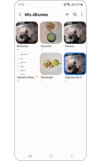 Visualización de todos los álbumes, incluidas las capturas de video.