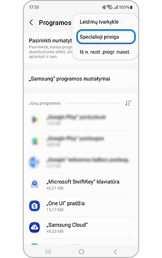 Pažymėtos Specialiosios prieigos parinkties atvaizdas.