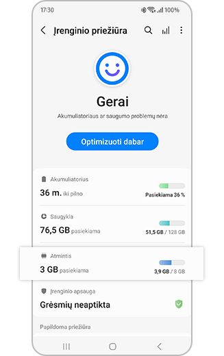 Įrenginio priežiūros meniu paryškintos Atminties parinkties atvaizdas.