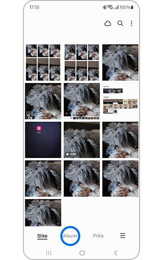 Prikaz galerije s odabranim albumima.