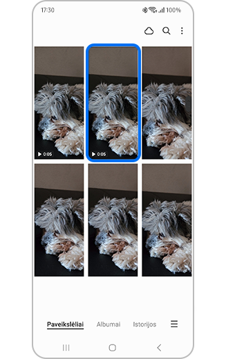 Galerijos paveikslėlis su pasirinktu vaizdo įrašu.