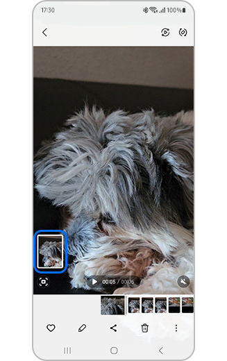 Vaizdo įrašo su pažymėta kadro nuotrauka atvaizdas.