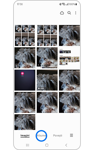 Imagine cu Galeria, cu opțiunea Albume evidențiată.
