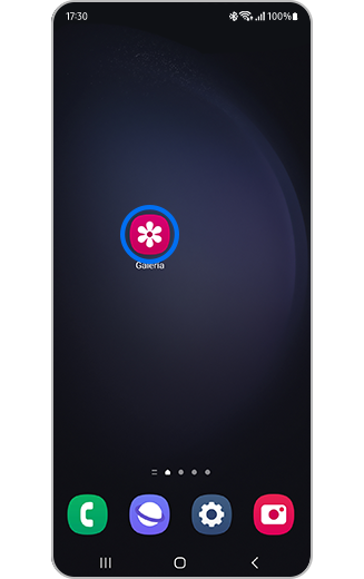 Imagen de iconos en la galería en la pantalla de inicio.