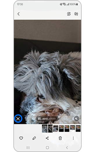 Imagen de un vídeo con el icono de captura de fotogramas resaltado.