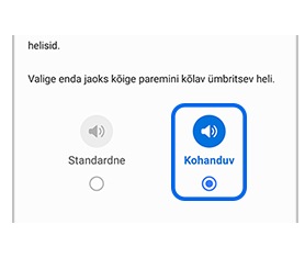 Standardsed ja kohandatavad ümbritseva heli valikud