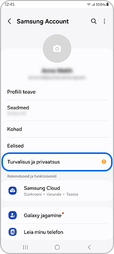 Turvalisus ja privaatsus on valitud Samsungi konto profiililt