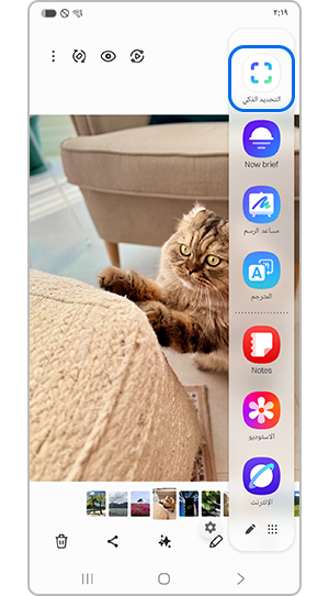 اختر التحديد الذكي لإنشاء صورة GIF متحركة