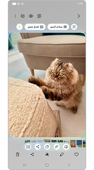 حدد المنطقة لإنشاء صورة GIF متحركة