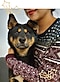 Un perro negro y su humano se hacen un selfie. Solo vemos la cara del perro y el cuerpo de su dueño. La imagen está enmarcada con dibujos navideños realizados con el S Pen.