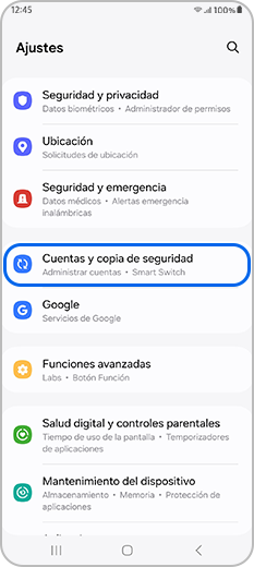 Cuentas y copias de seguridad seleccionadas en Configuración