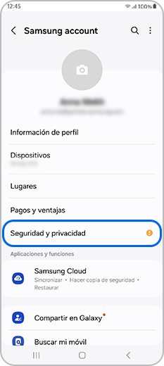 La seguridad y la privacidad están seleccionadas en el perfil de la cuenta Samsung