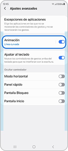 Pulse Animación en la configuración avanzada