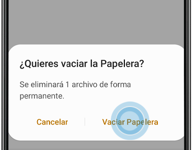 Después de vaciar la papelera no podrás recuperar su contenido.