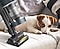 Un plano corto de una aspiradora Samsung Jet usando el accesorio Pet Tool+ en un sofá donde descansa un perro.