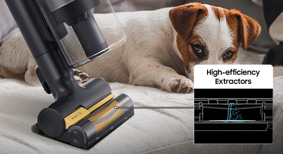 Un Jet 85 con Pet Tool+ limpia el sofá junto a un perro. La boquilla de goma y las cerdas del cepillo son extractores de alta eficacia, que recogen todos los pelos de mascota.