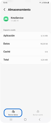 Pantalla del Smartphone con el botón Borrar datos seleccionado