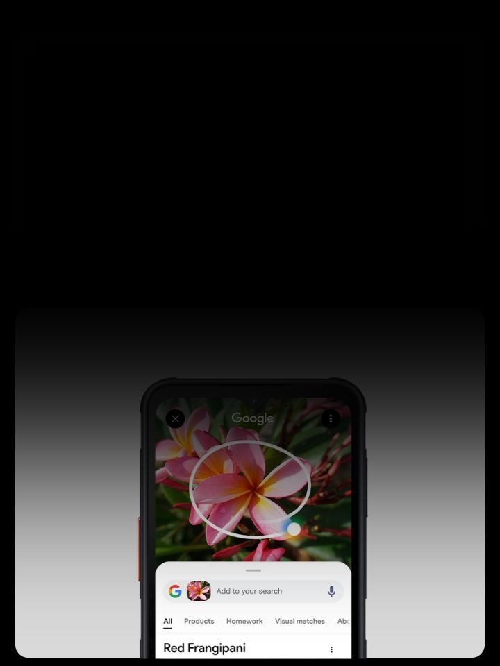 Utilisation de la fonctionnalité Entourer pour chercher sur Samsung Galaxy XCover 7 Pro avec Gemini.