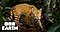 BBC Earth