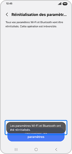 Écran d’accueil du menu de réinitialisation des paramètres du réseau mobile d’un Samsung Galaxy