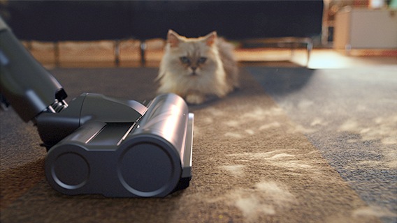 Nettoyage exceptionnel des poils d'animaux