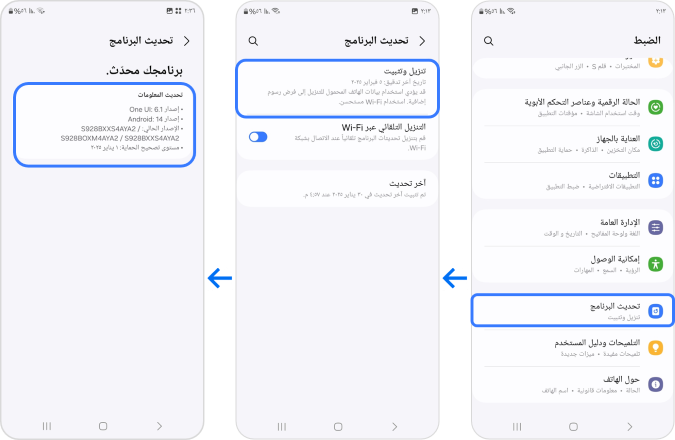 Software update steps