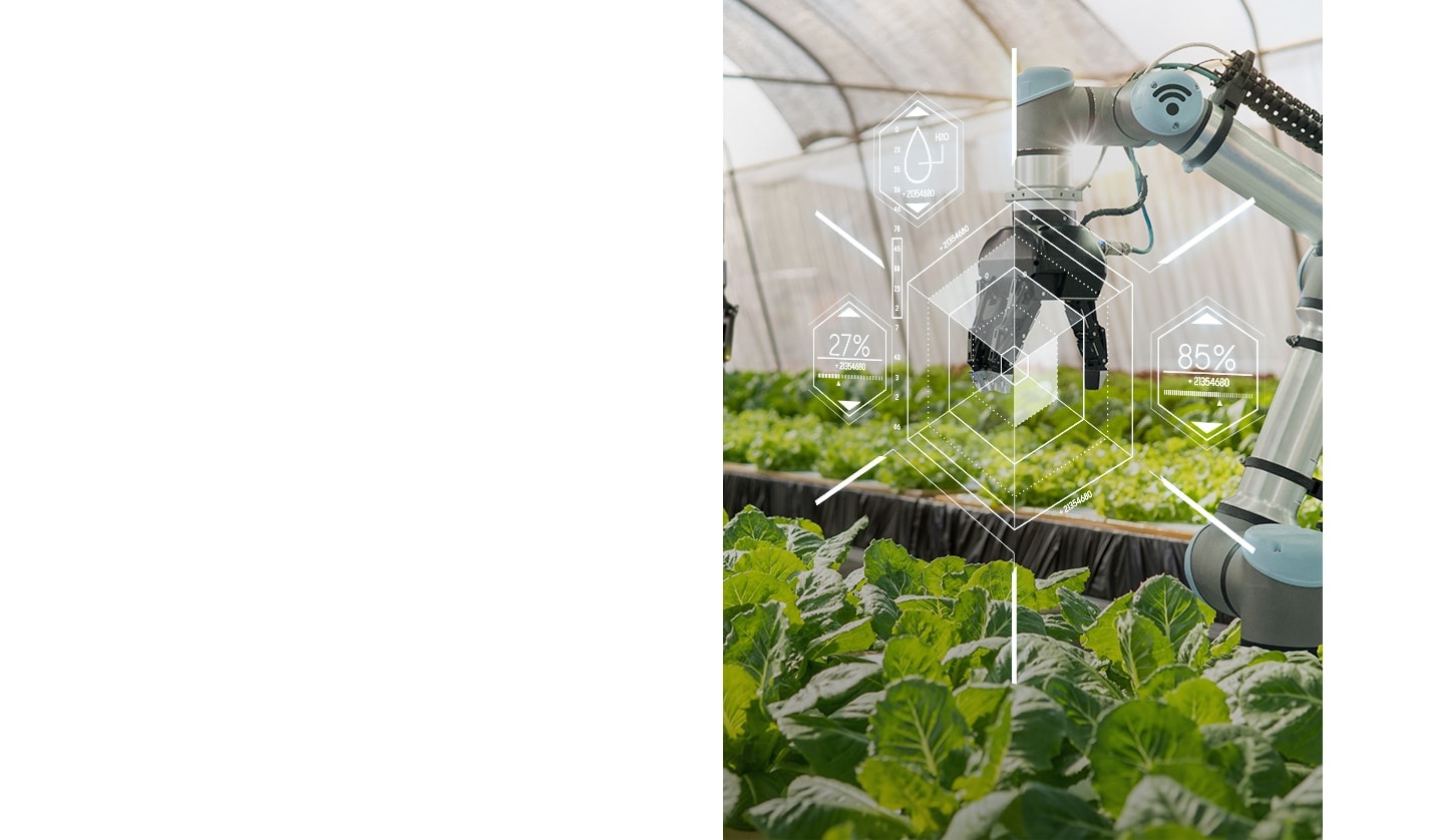 An illustrative image of automated agriculture with robot arm.