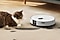 A cat sitting on rug looking at Samsung Bot robot vacuum.
