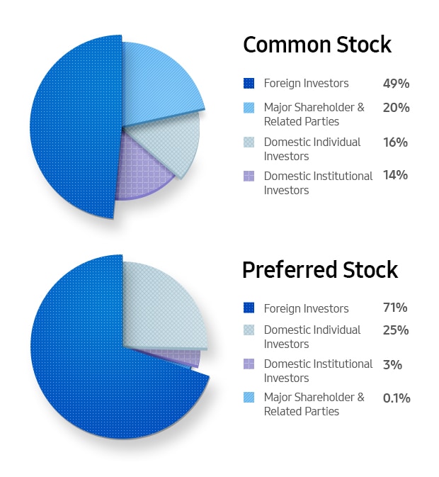 Common Stock. Foreign Investors 49%. Major Shareholder & Related Parties 20%. Domestic Individual Investors 16%. Domestic Institutional Investors 14%, Preferred Stock. Foreign Investors 71%. Domestic Individual Investors 25%. Domestic Institutional Investors 3%. Major Shareholder & Related Parties 0.1%