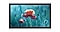 Samsung small touch display QBR-T