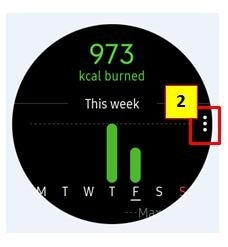 Alternatively, rotate the bezel clockwise on the Watch screen, select the Health summary widget, and then tap the calories menu.