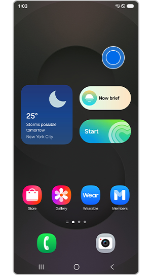 Displaying Home screen