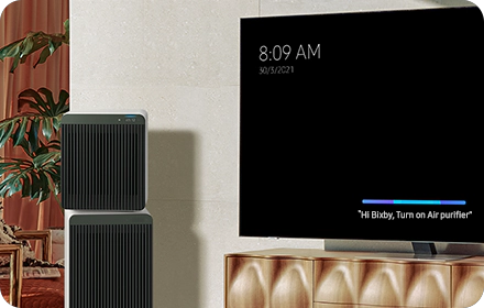 voice assistant