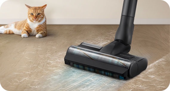 Mačka leži na podu dnevne sobe, a Samsung bežični usisavač čisti krzno ljubimca ispred nje.