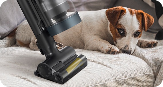 Upotreba dvostrukih četki Samsung bežičnog usisavača za čišćenje tkanine na naslonjaču na kojem leži pas