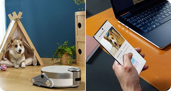 Jetbot robotski usisavač snima dok gleda psa. A s desne strane, Provjerite svoj dom i kućnog ljubimca s pomoću značajke Jet Live. Na svojemu mobitelu izvana možete provjeriti zaslon snimljen Jetbot robotskim usisavačem.