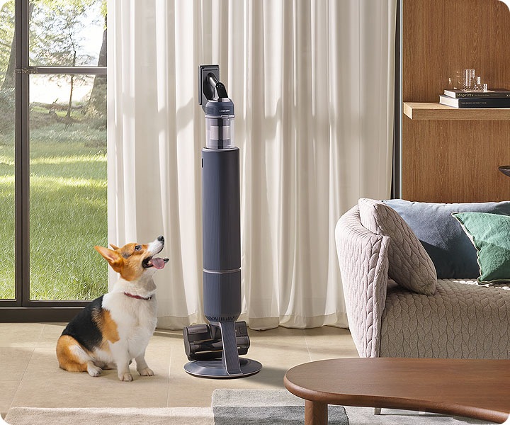 Samsung Bespoke Jet usisavač postavljen je ispred osunčanog prozora dnevne sobe, a pas sjedi i gleda u njega.